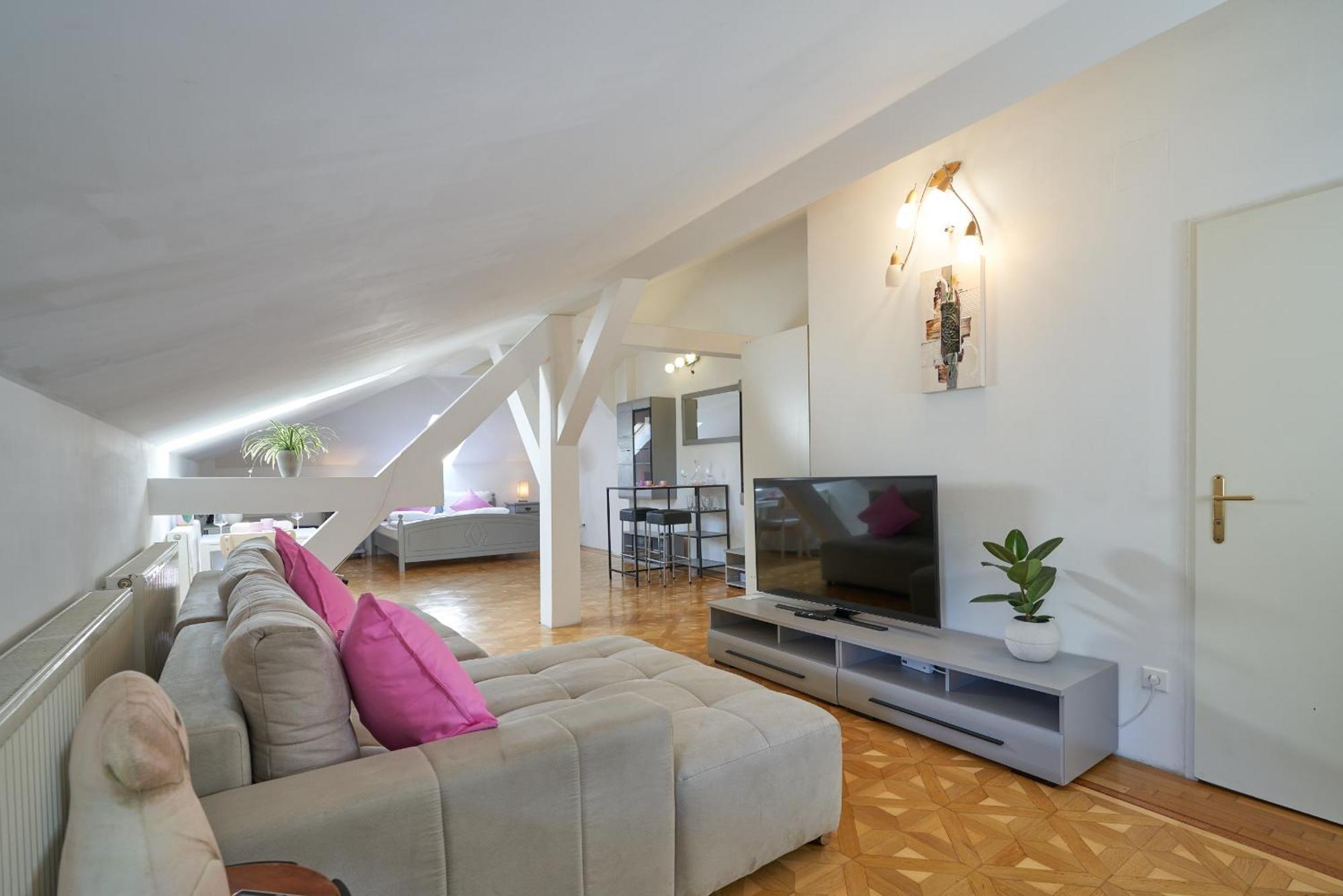 Big Apartment In Guesthouse Baden Exteriör bild
